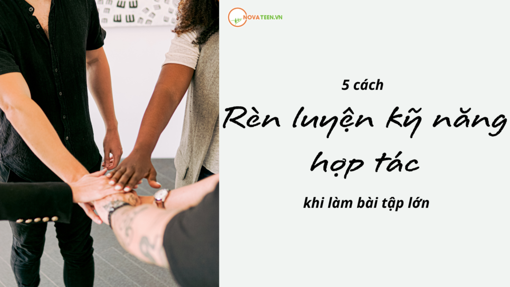 5 cách rèn luyện kỹ năng hợp tác khi làm bài tập lớn hiệu quả