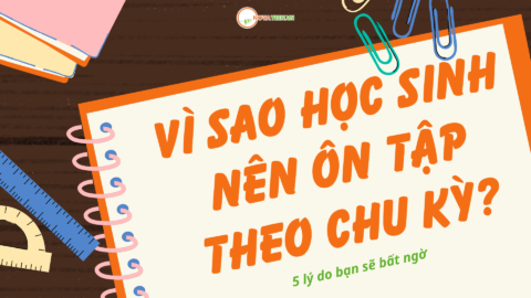 Vì sao học sinh nên ôn tập theo chu kỳ? 5 lý do bạn sẽ bất ngờ